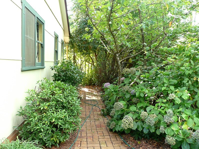 Blackheath NSW 2785