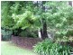 Blackheath NSW 2785