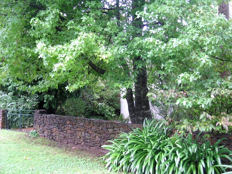 Blackheath NSW 2785