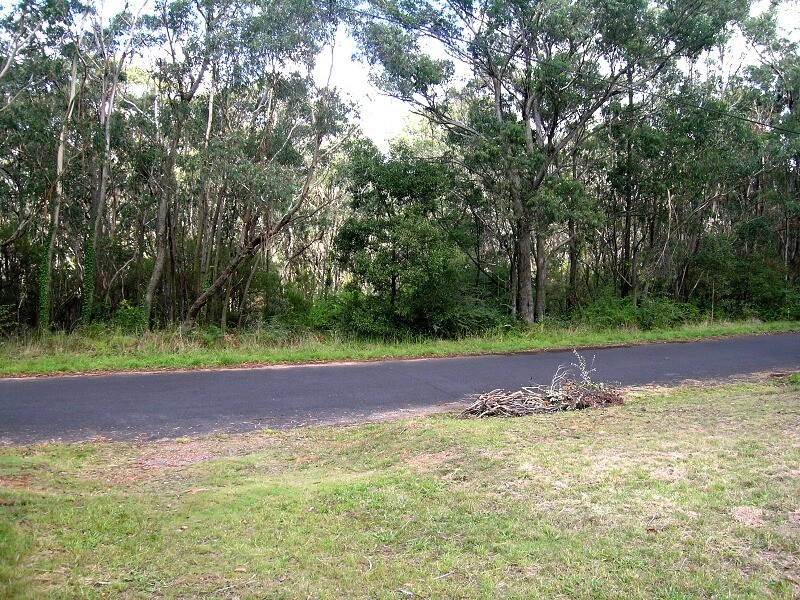 48 Prince George St, Blackheath NSW 2785