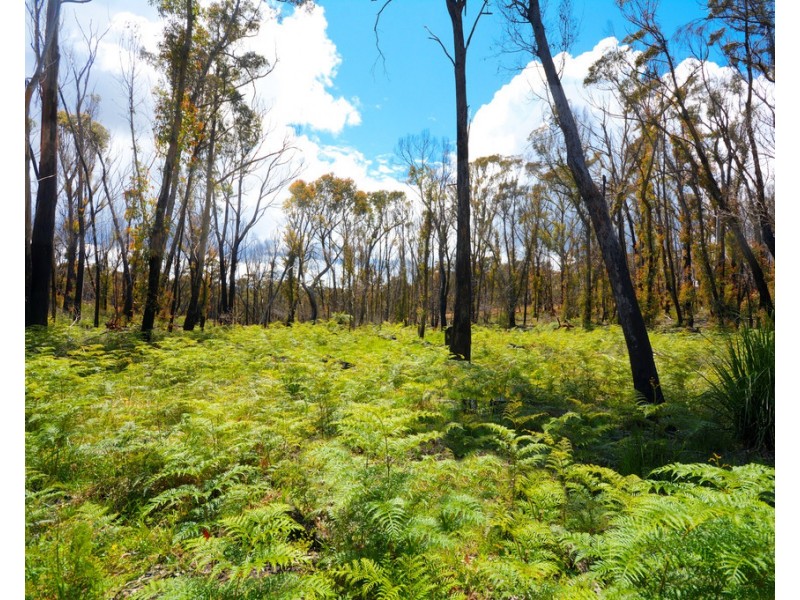 32-42 Sandham Road, Bell NSW 2786