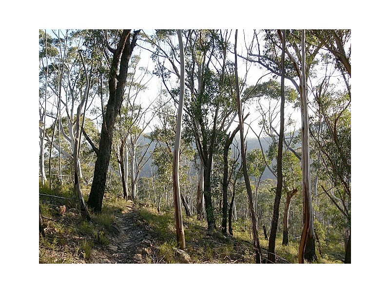 96 Donald Road, Clarence NSW 2790