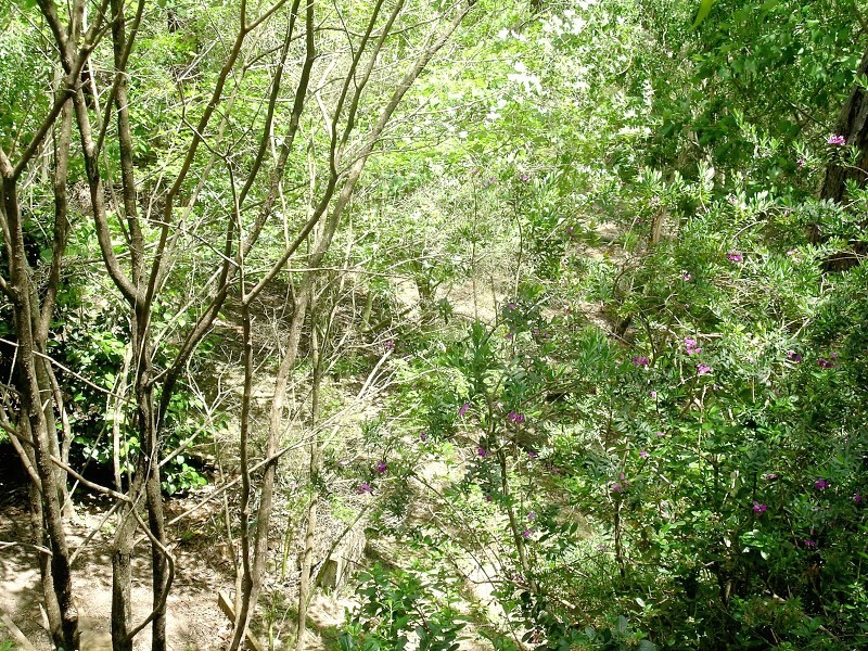 148 Victoria Street, Mount Victoria NSW 2786