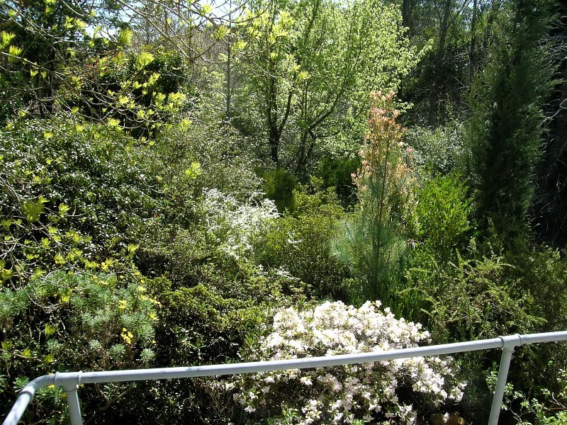 14 – 16  Sylvania Street, Mount Victoria NSW 2786