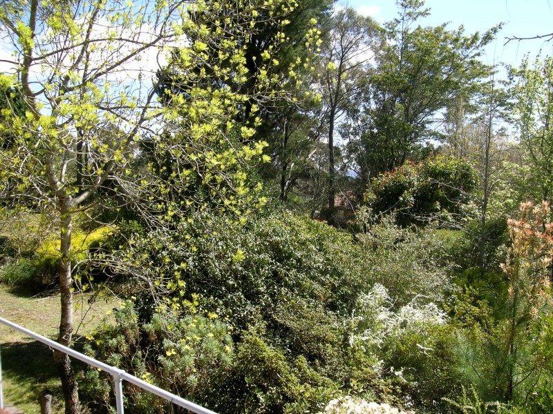 14 – 16  Sylvania Street, Mount Victoria NSW 2786