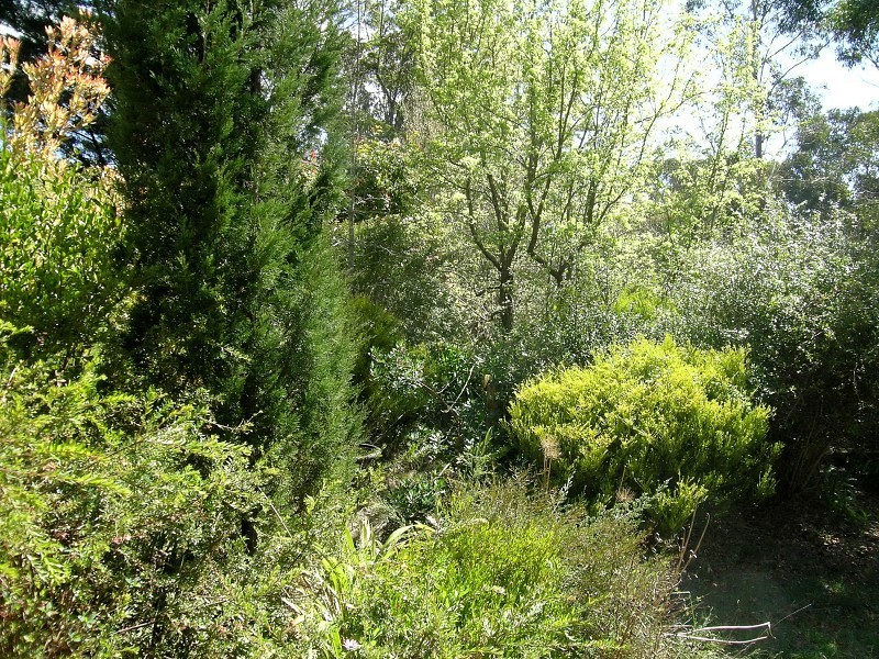 14 – 16  Sylvania Street, Mount Victoria NSW 2786