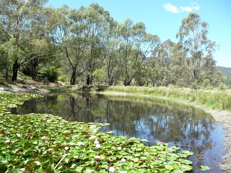 159 Mill Creek Road, Little Hartley NSW 2790