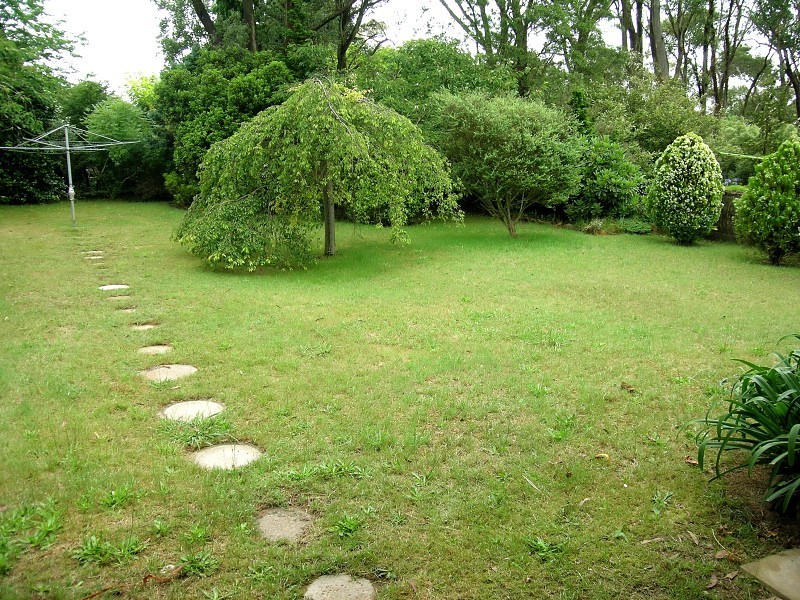 45 Brightlands Ave, Blackheath NSW 2785