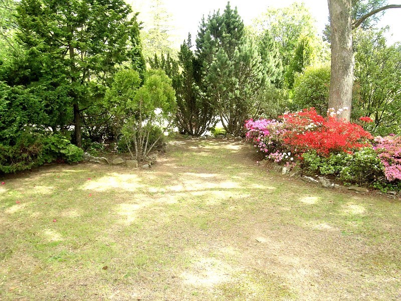 45 Brightlands Ave, Blackheath NSW 2785