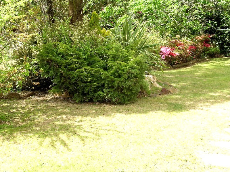 45 Brightlands Ave, Blackheath NSW 2785