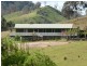 GLADFRED 786 Peach Tree Road, Megalong NSW 2785
