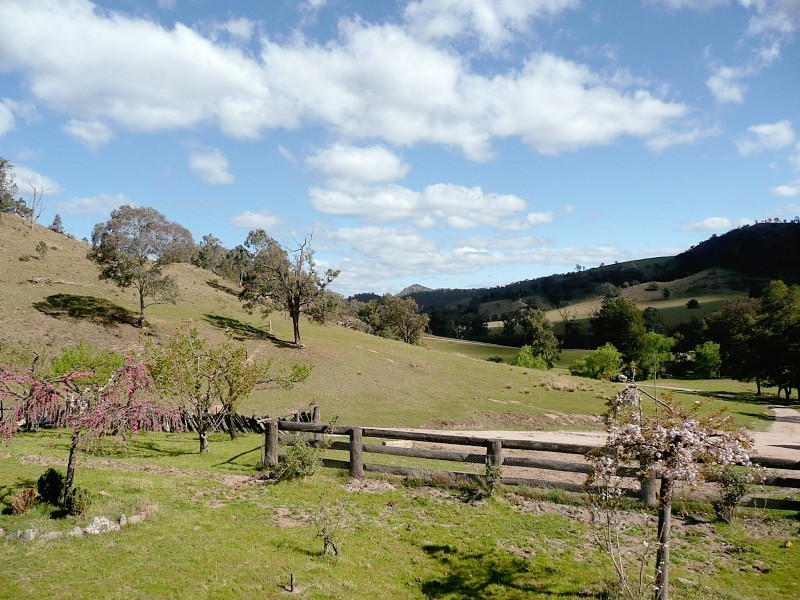 GLADFRED 786 Peach Tree Road, Megalong NSW 2785