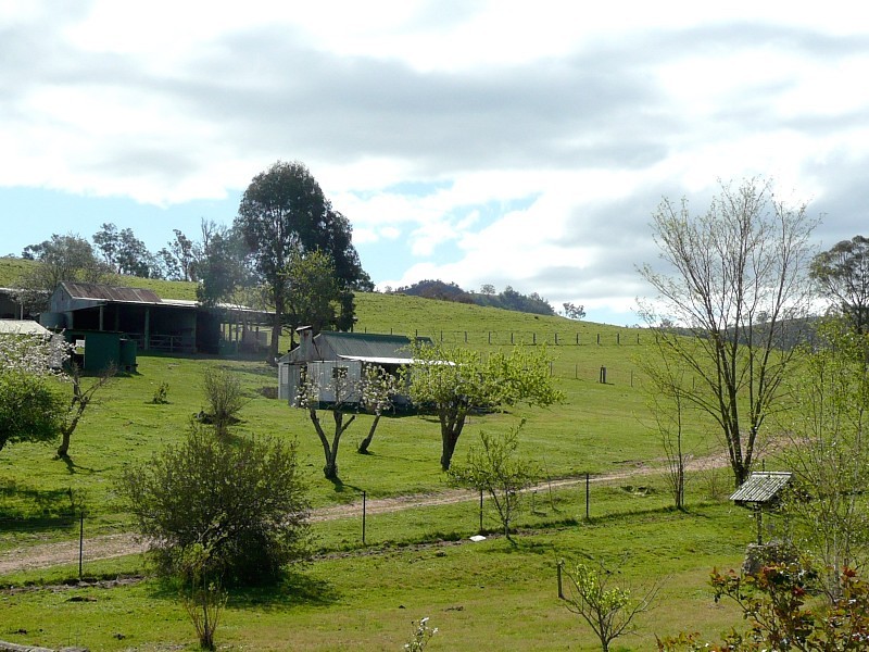 GLADFRED 786 Peach Tree Road, Megalong NSW 2785