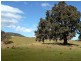 GLADFRED 786 Peach Tree Road, Megalong NSW 2785