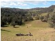 GLADFRED 786 Peach Tree Road, Megalong NSW 2785