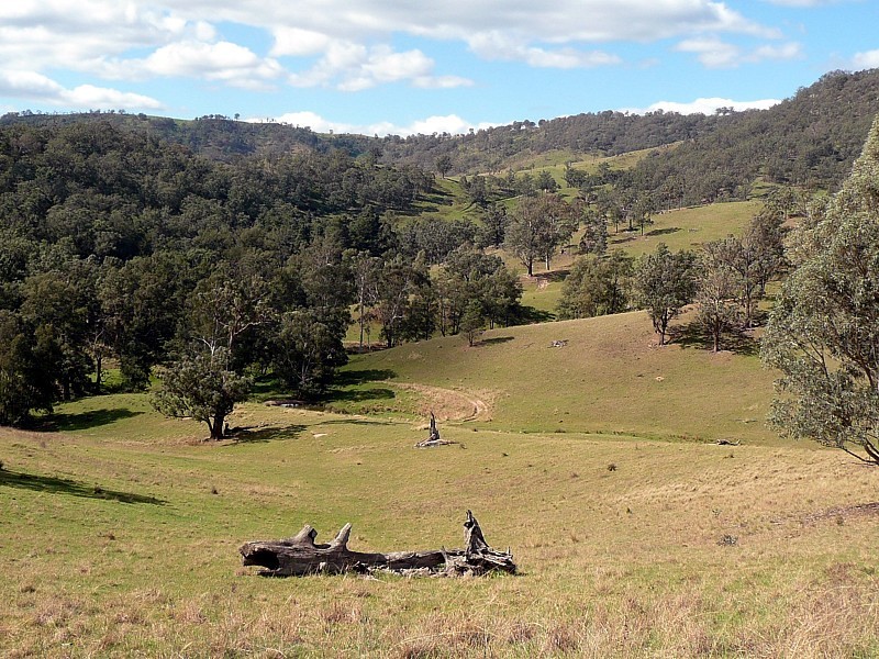 GLADFRED 786 Peach Tree Road, Megalong NSW 2785