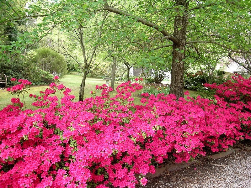 24 – 28 Romaine St, Blackheath NSW 2785