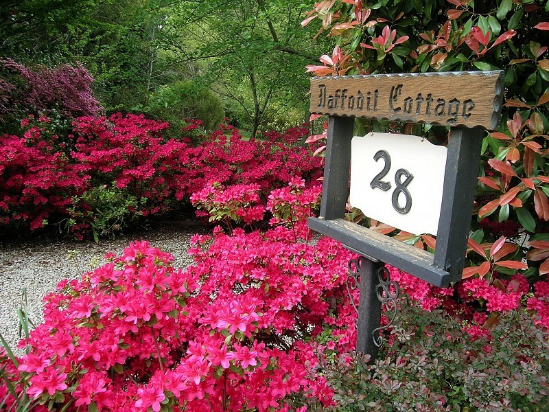 24 – 28 Romaine St, Blackheath NSW 2785