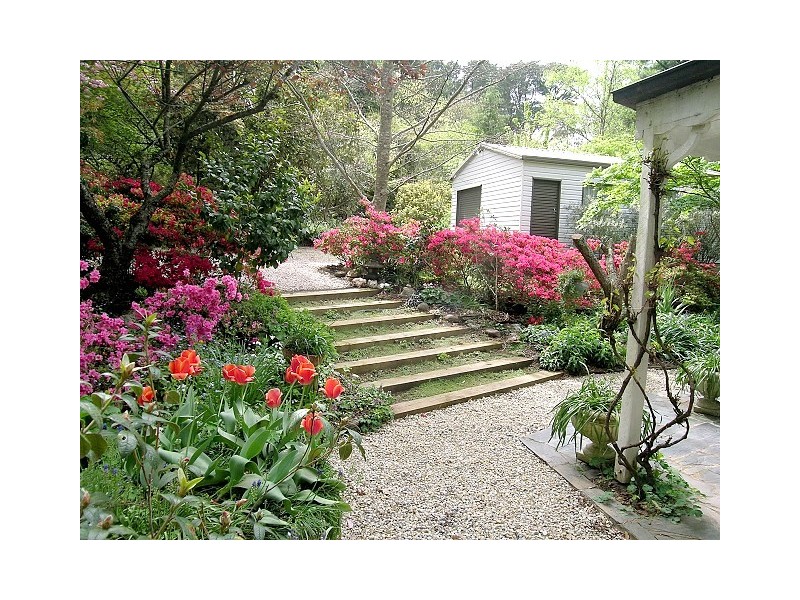 24 – 28 Romaine St, Blackheath NSW 2785