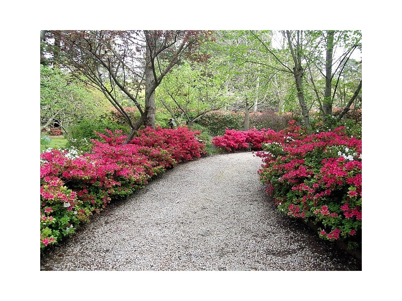 24 – 28 Romaine St, Blackheath NSW 2785