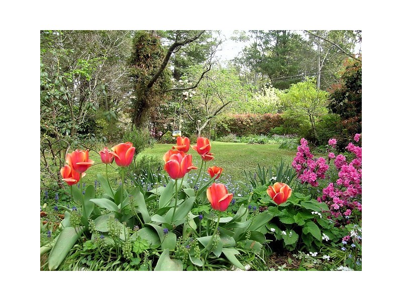 24 – 28 Romaine St, Blackheath NSW 2785