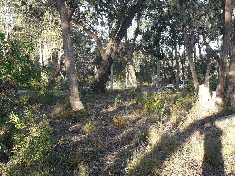 26 Mount York Road, Mount Victoria NSW 2786