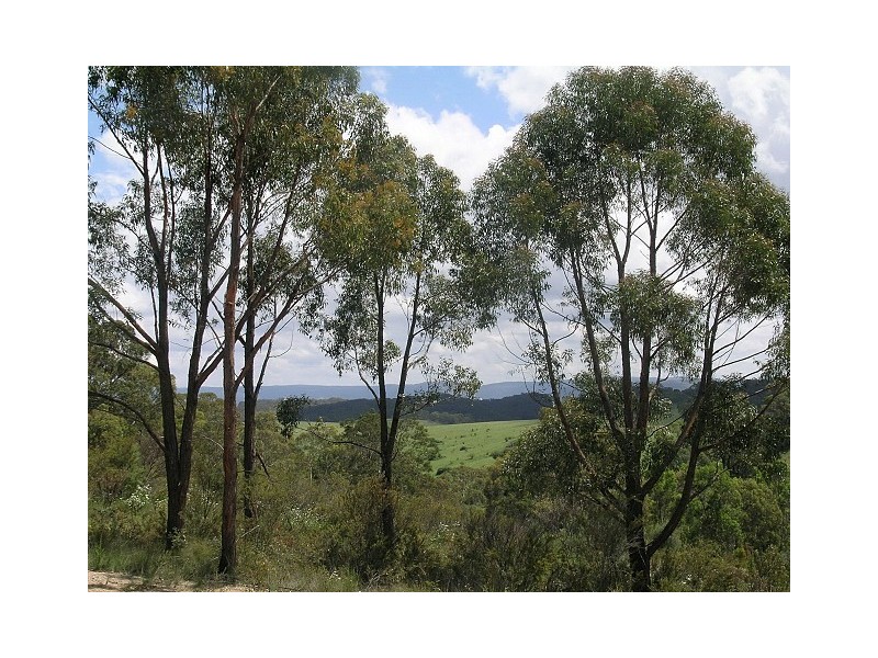 Lot 34 Baaners Lane, Little Hartley NSW 2790