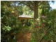 4 Brentwood Avenue, Blackheath NSW 2785