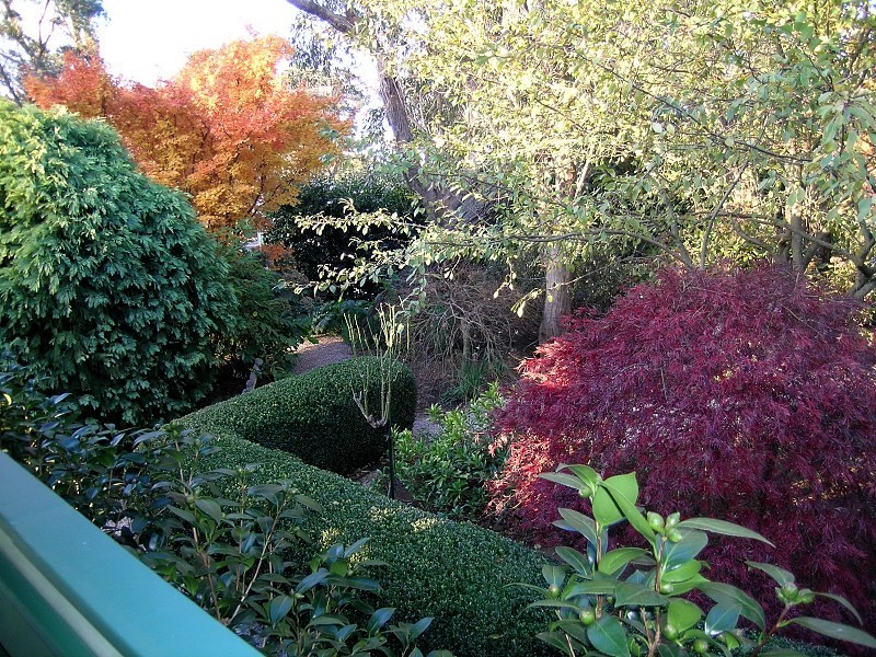 20 St Andrews Avenue, Blackheath NSW 2785