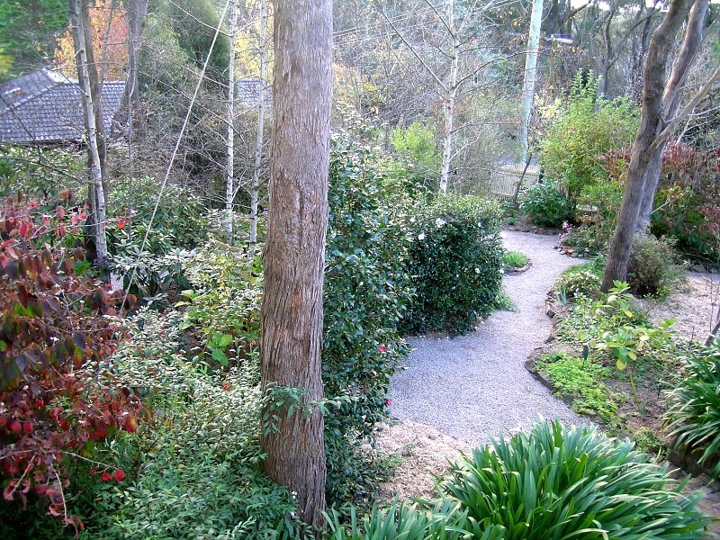 20 St Andrews Avenue, Blackheath NSW 2785