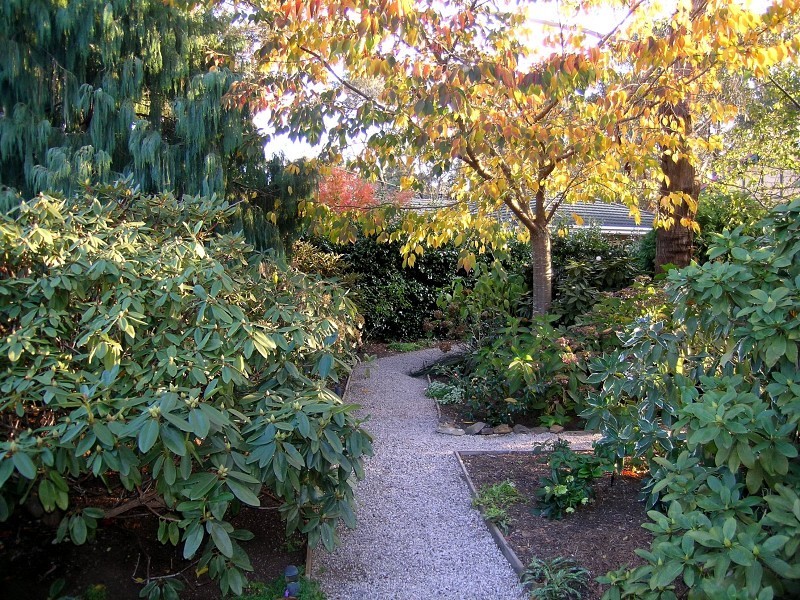 20 St Andrews Avenue, Blackheath NSW 2785