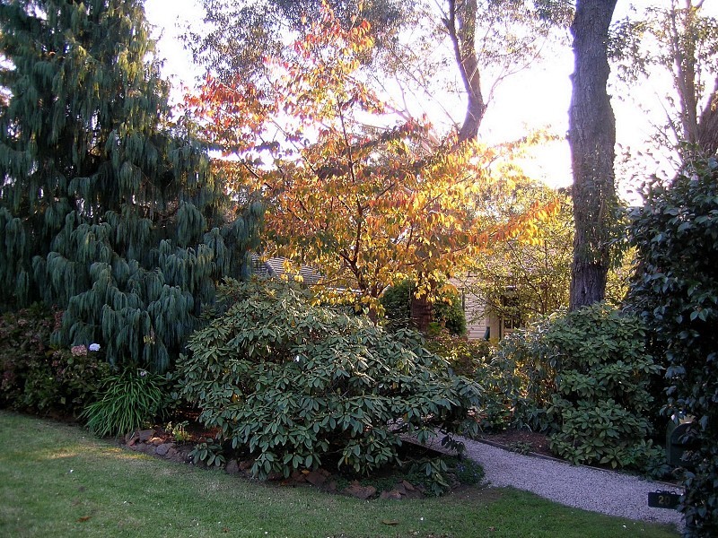 20 St Andrews Avenue, Blackheath NSW 2785