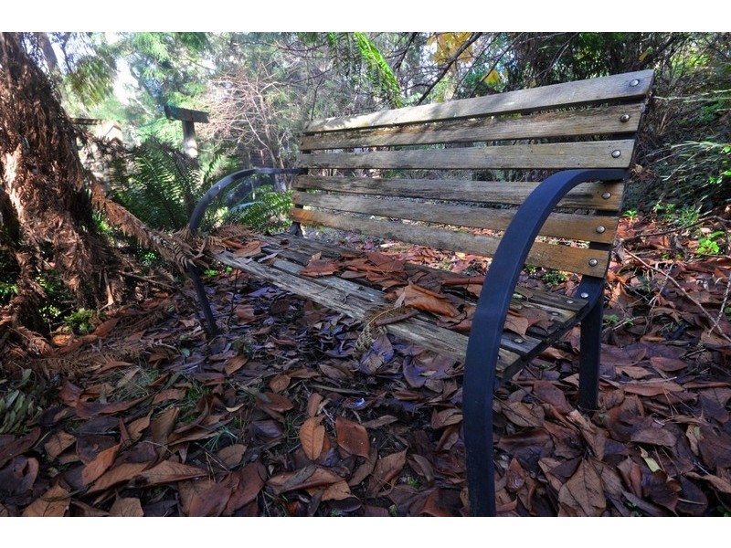 43 Dell Street, Blackheath NSW 2785