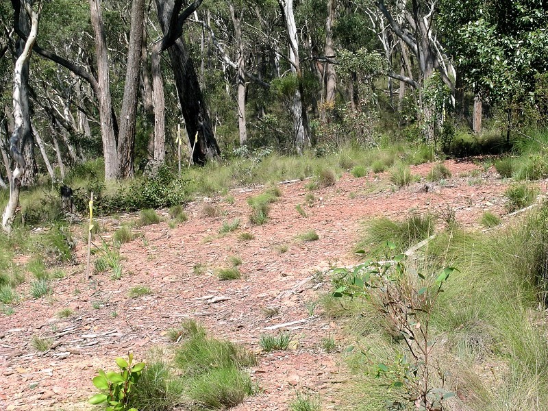 40-48 Salisbury Rd, Mount Victoria NSW 2786