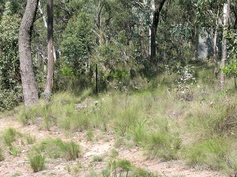 40-48 Salisbury Rd, Mount Victoria NSW 2786