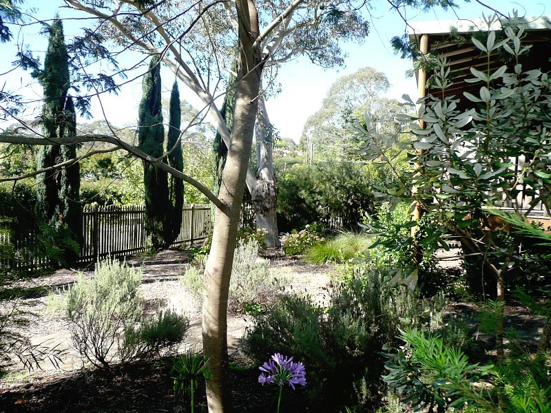 1 Goodare St, Blackheath NSW 2785