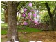 193 Connaught Road, Blackheath NSW 2785