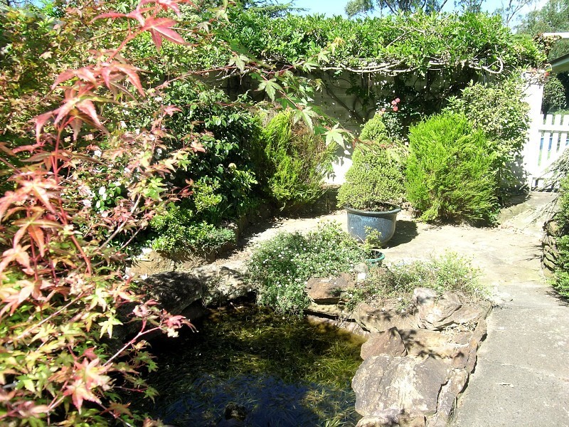 6 Belgravia Street, Medlow Bath NSW 2780