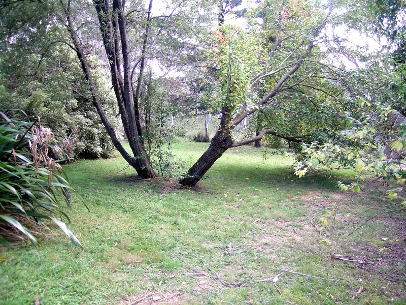 54 Godson Ave, Blackheath NSW 2785