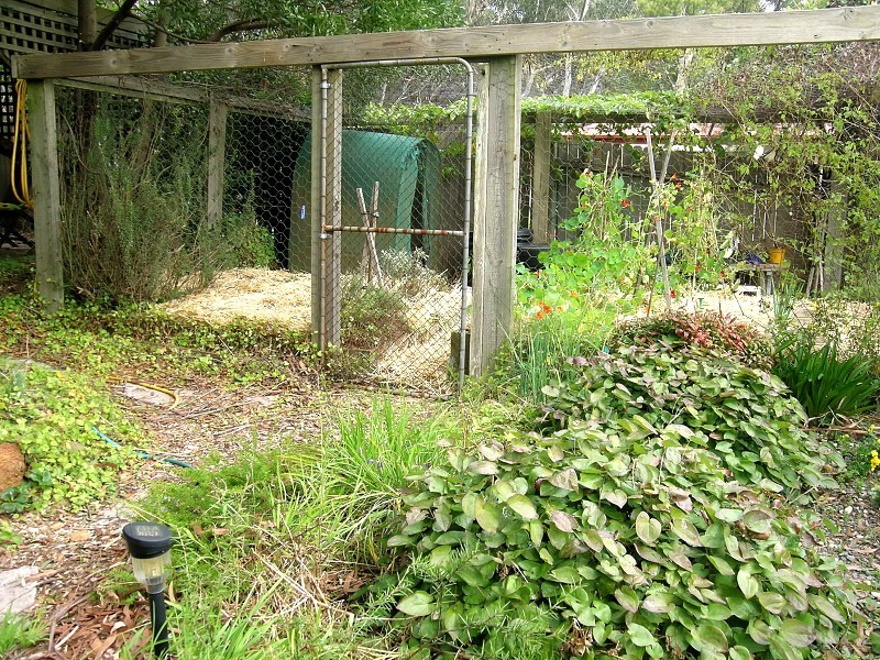 85 Godson Avenue, Blackheath NSW 2785