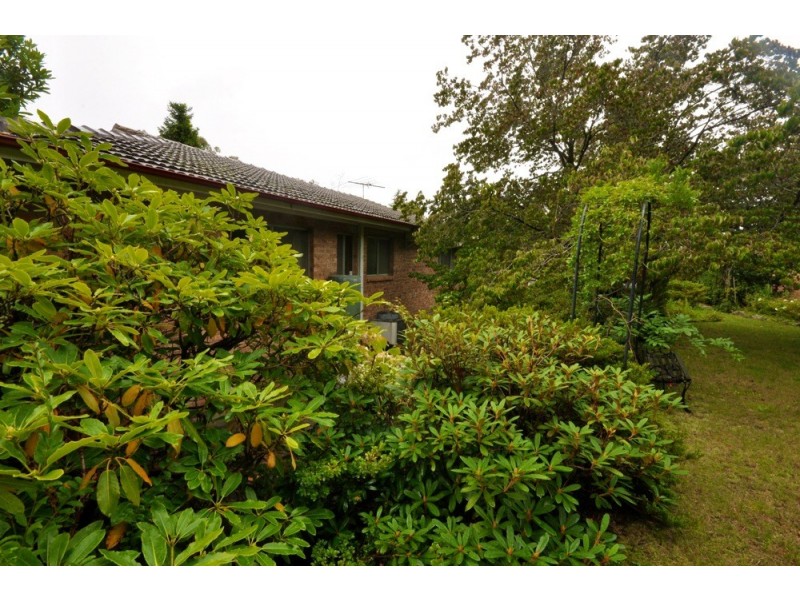 79-81 Brightlands Avenue, Blackheath NSW 2785