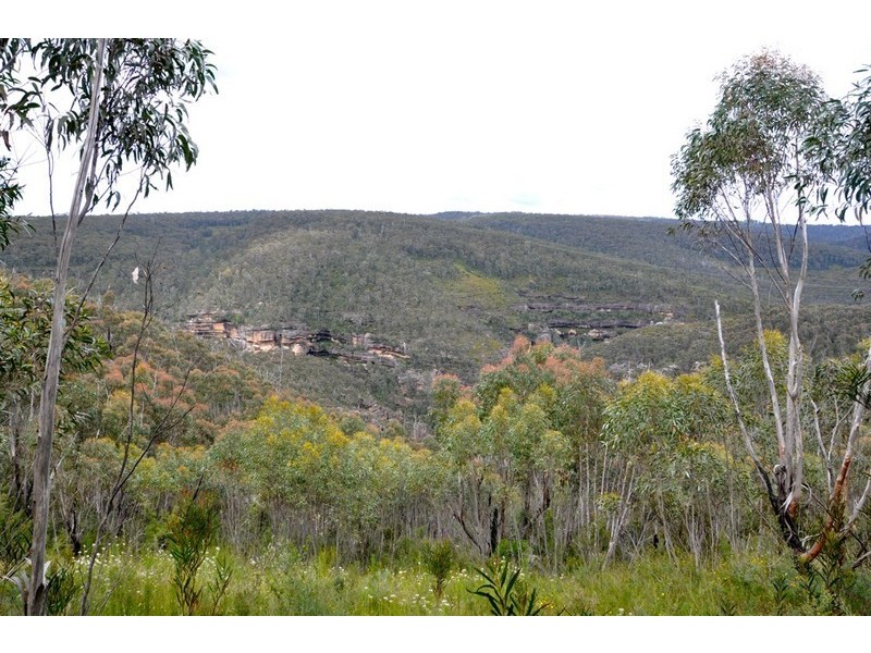 305-323 Evans Lookout Road, Blackheath NSW 2785