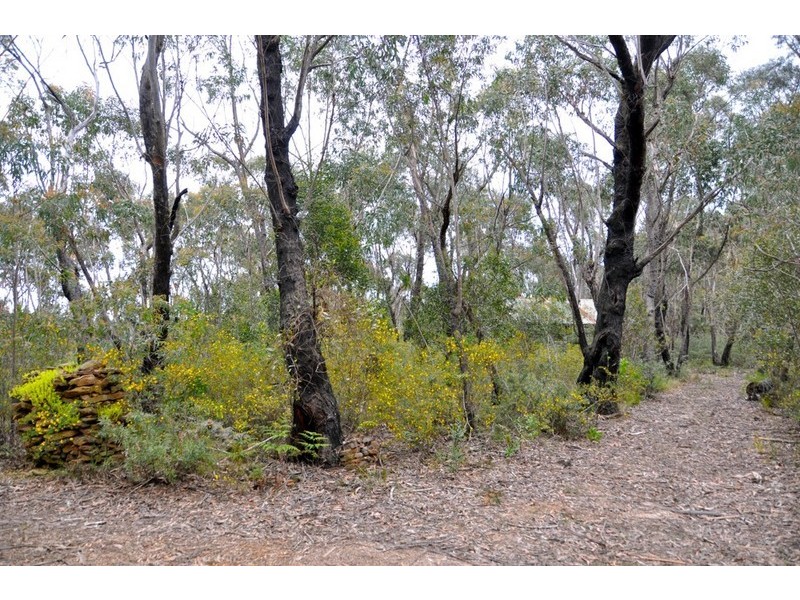 305-323 Evans Lookout Road, Blackheath NSW 2785