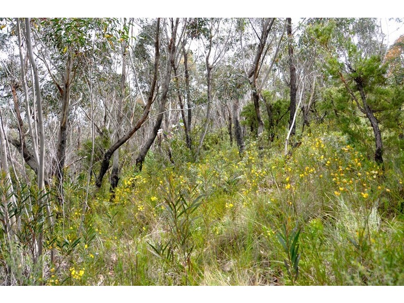 305-323 Evans Lookout Road, Blackheath NSW 2785