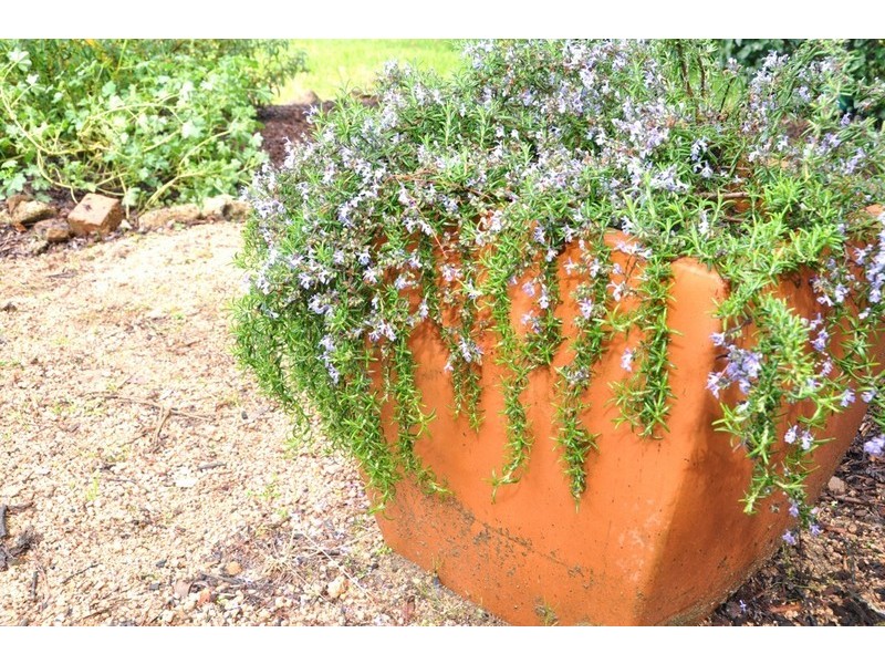 143 Great Western Highway, Blackheath NSW 2785