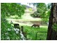 41 Coxs River Road, Little Hartley NSW 2790