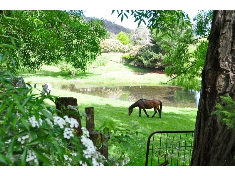 41 Coxs River Road, Little Hartley NSW 2790