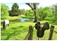 41 Coxs River Road, Little Hartley NSW 2790