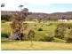 Little Hartley NSW 2790