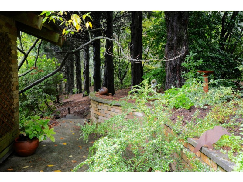 105-107 Mount Irvine Road, Mount Wilson NSW 2786